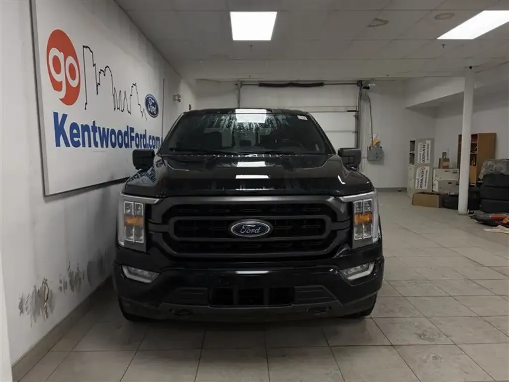 Ford F-150 2023 photo 3
