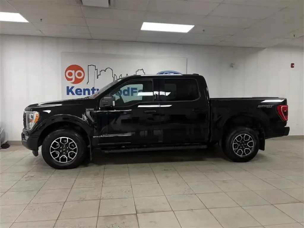 Ford F-150 2023 photo 2