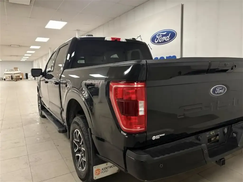 Ford F-150 2023 photo 5