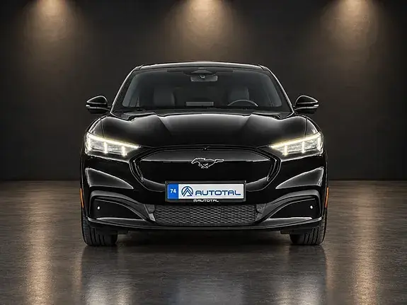Ford Mustang Mach-E 2022 photo 2