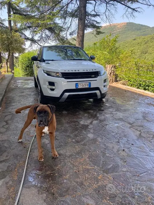 Land Rover Range Rover Evoque