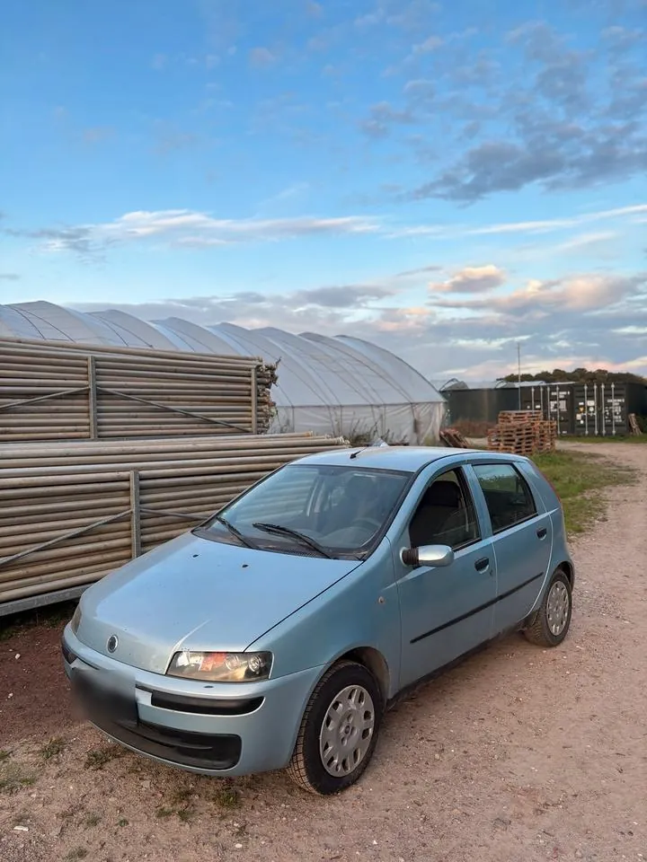 Fiat Punto