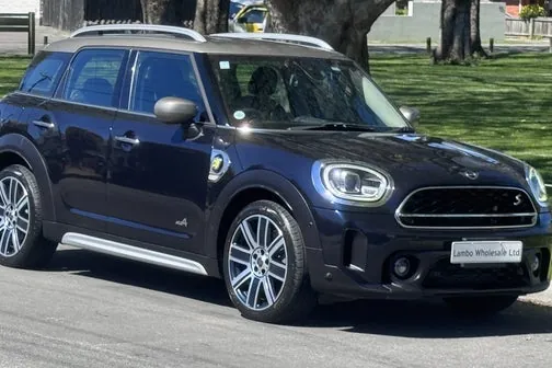 Mini Countryman