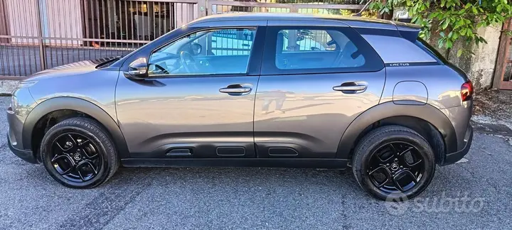 Citroen C4 Cactus 2019 photo 2