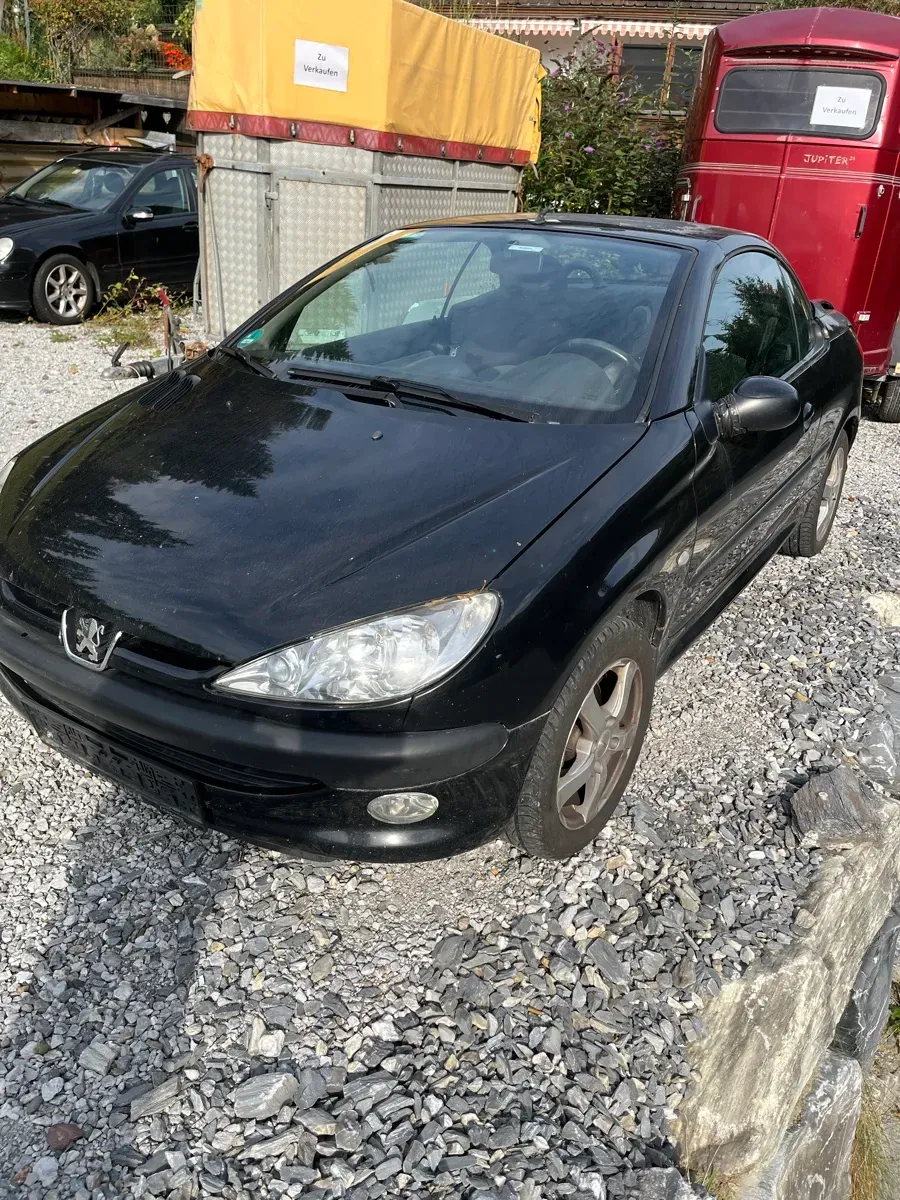 Peugeot 206 2001 photo 3