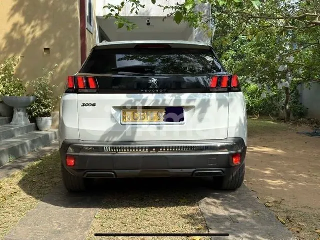 Peugeot 3008 2019 photo 2