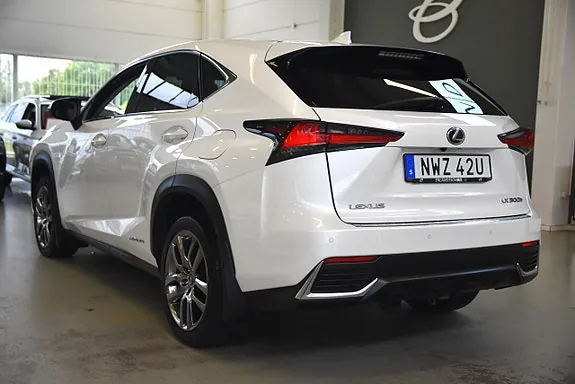 Lexus Nx300H 2019 photo 5