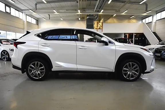 Lexus Nx300H 2019 photo 3