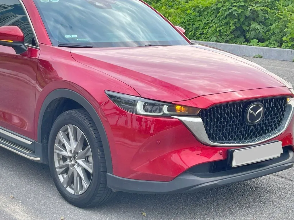 Mazda Cx-8 2024 photo 4