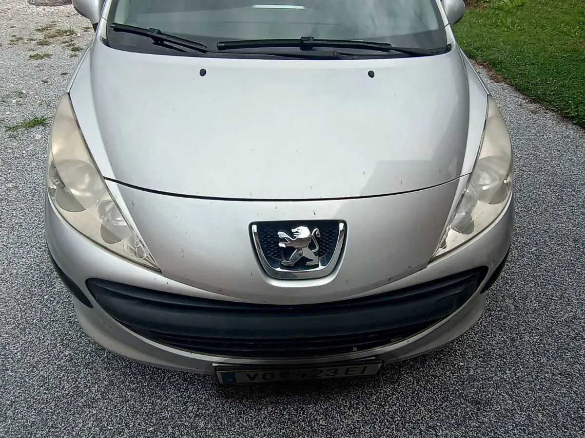 Peugeot 207 2009 photo 2