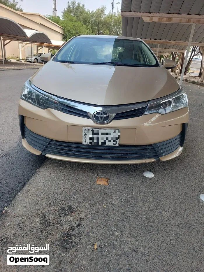 Toyota Corolla 2019 photo 2