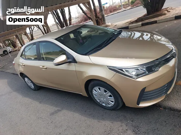 Toyota Corolla 2019 photo 3