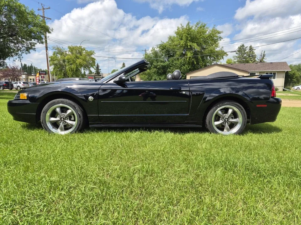 Ford Mustang 2004 photo 3