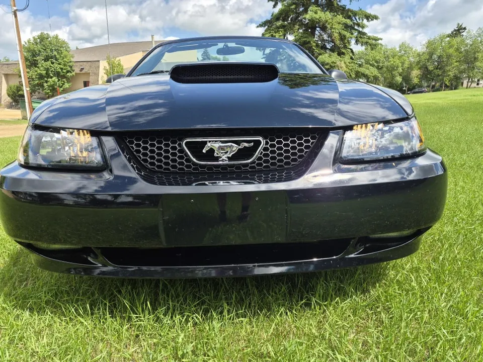 Ford Mustang 2004 photo 4