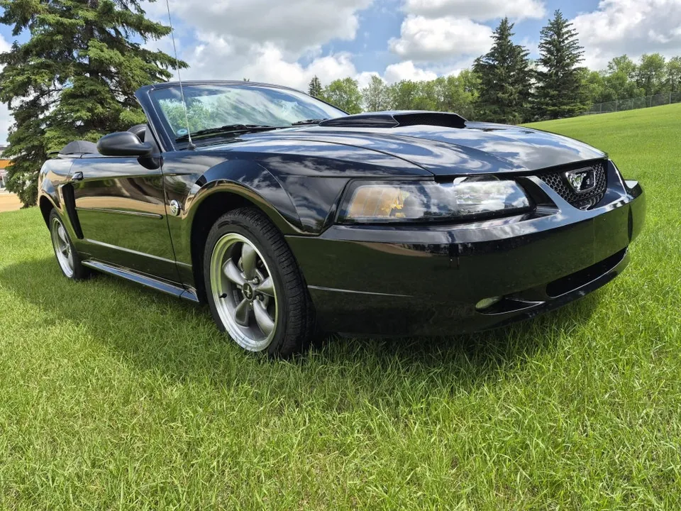 Ford Mustang 2004 photo 5