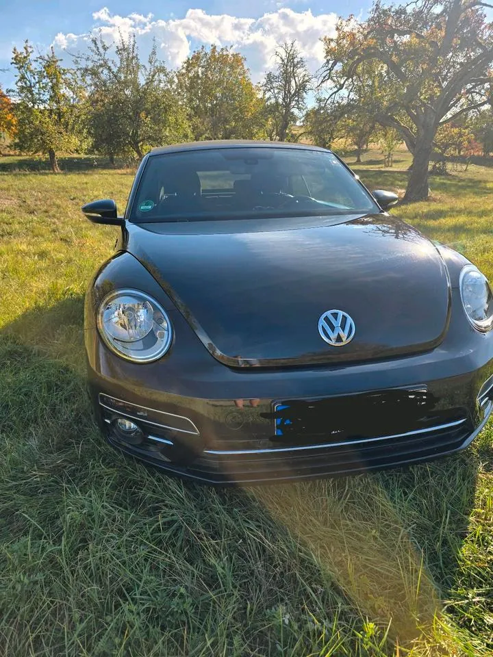Volkswagen Beetle Cabrio
