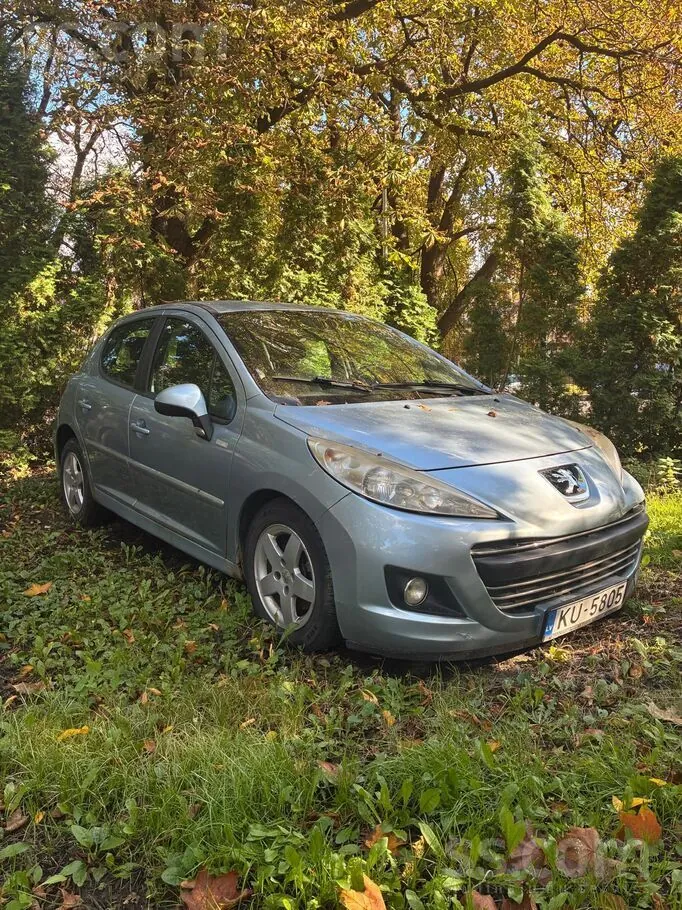 Peugeot 207 2010 photo 2