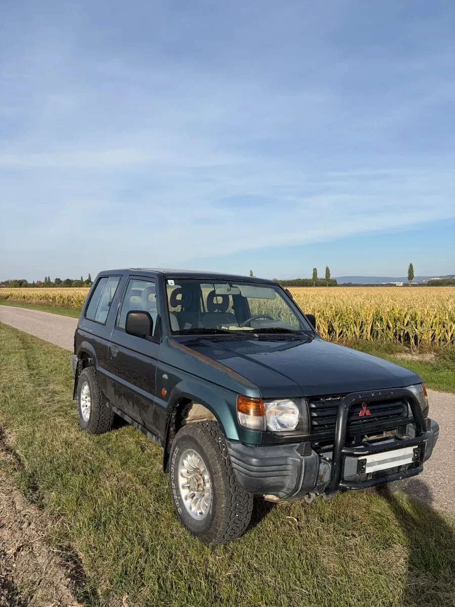 Mitsubishi Pajero 1994 photo 3