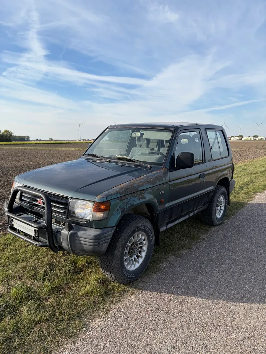 Mitsubishi Pajero 1994 photo 2