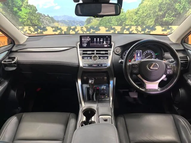 Lexus Nx300 2018 photo 2