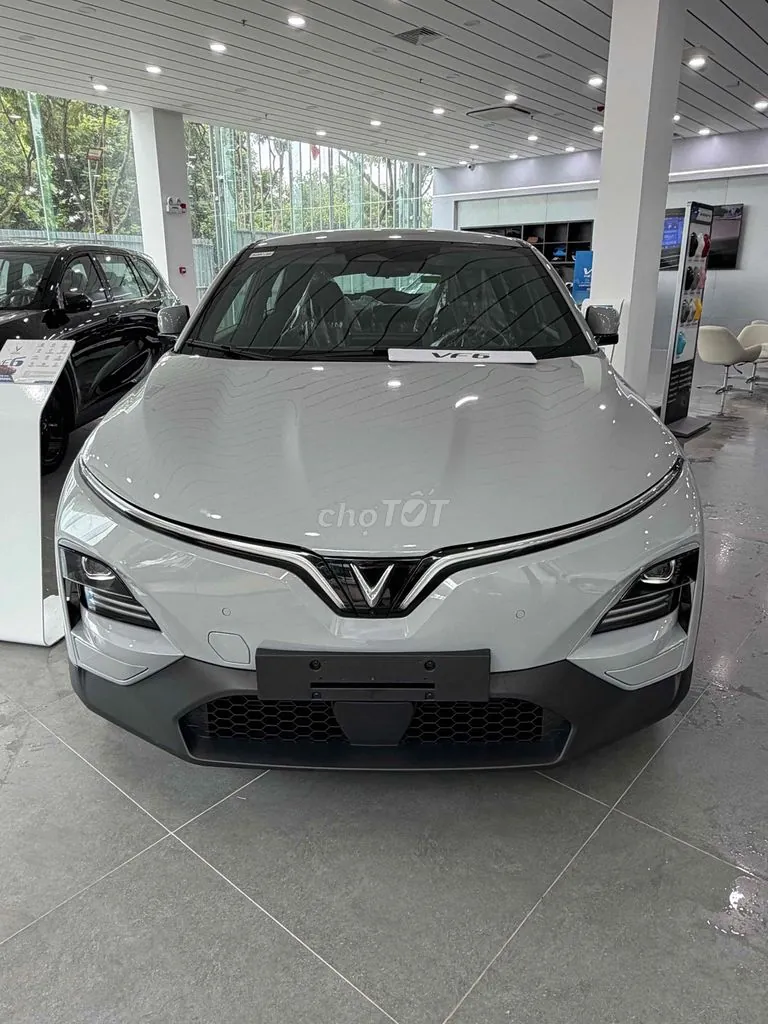 Vinfast Vf6