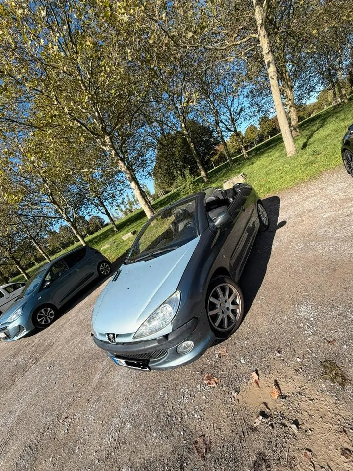 Peugeot 206 Cc Cabrio