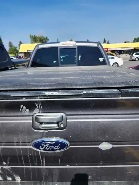 Ford F-150 2012 photo 3