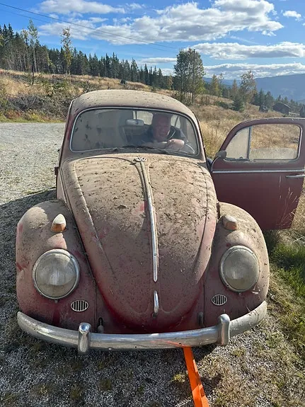 Volkswagen Boble