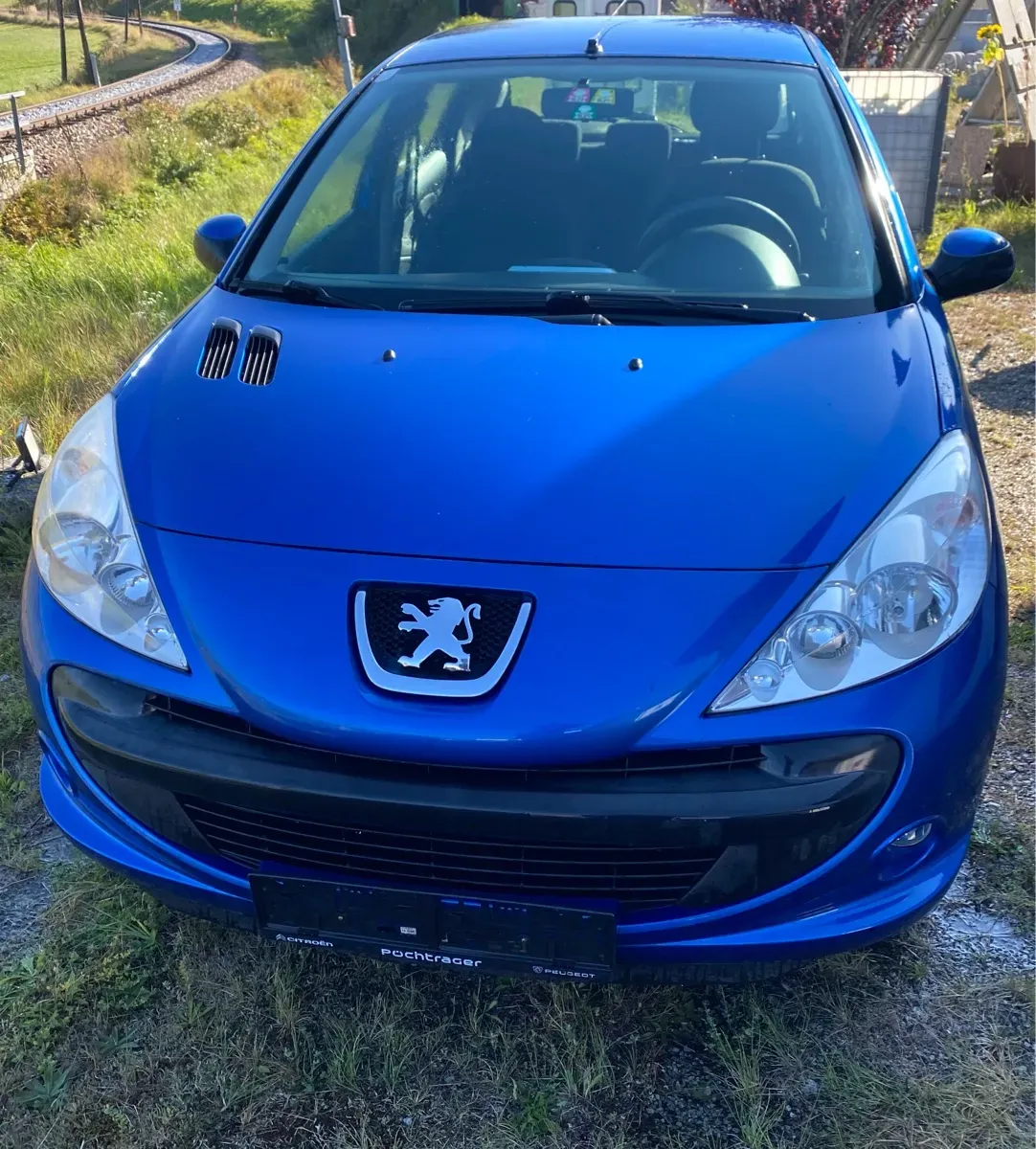 Peugeot 206 2009 photo 3