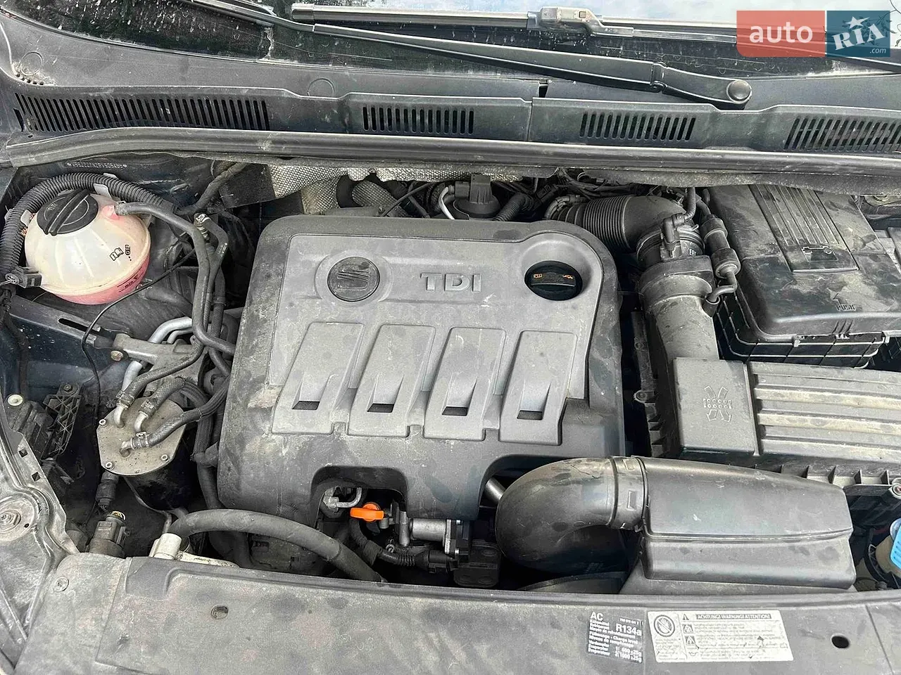 Seat Alhambra 2010 photo 2