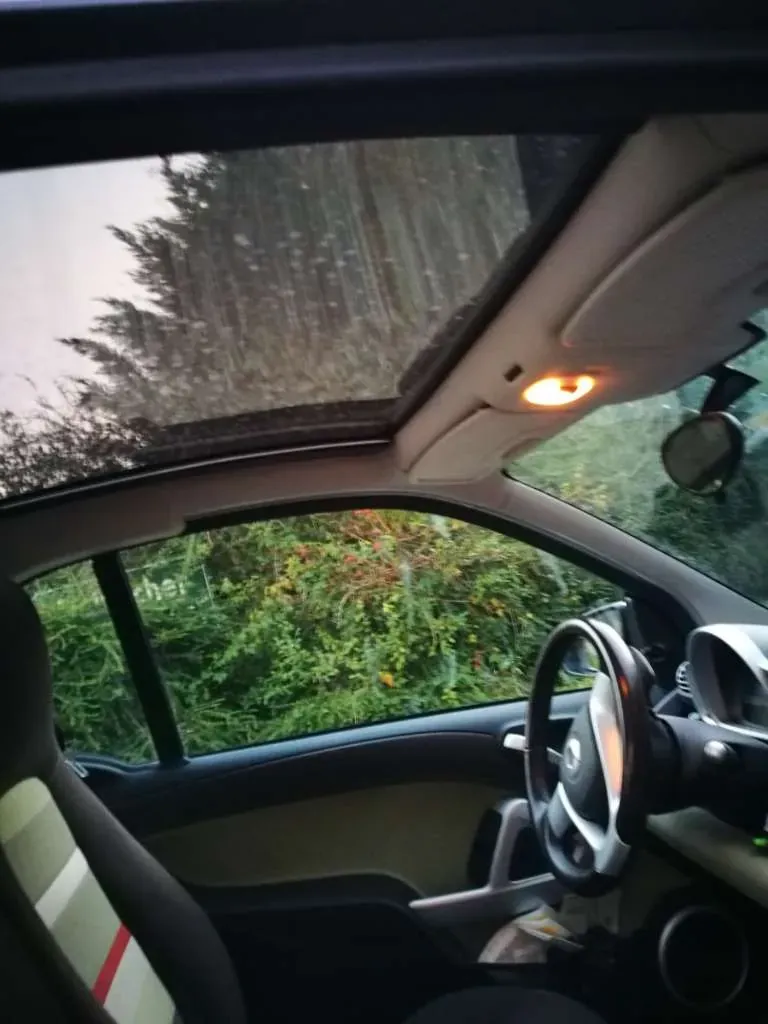 Smart Fortwo 2009 photo 2