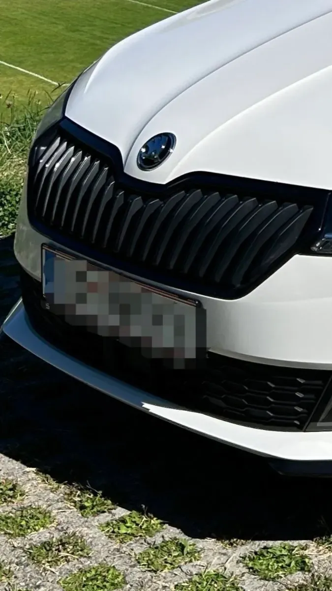 Skoda Fabia 2019 photo 2