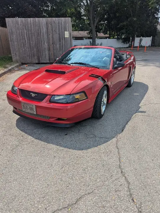 Ford Mustang 2002 photo 5