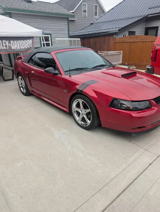 Ford Mustang 2002 photo 2