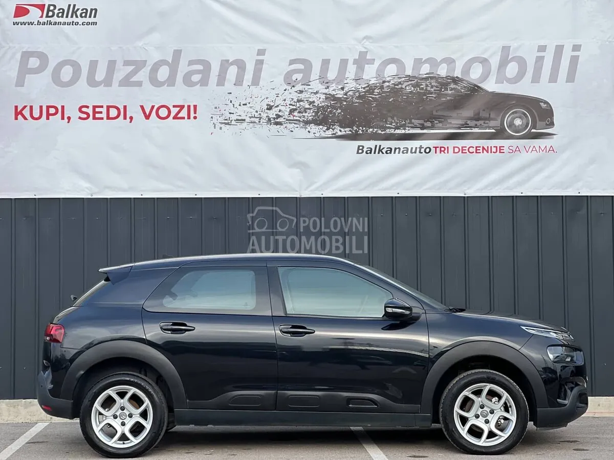 Citroen C4 Cactus 2019 photo 4