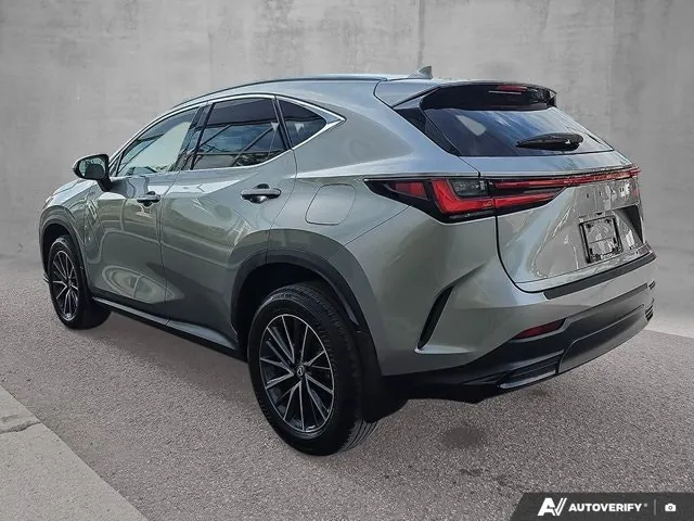 Lexus Nx 350 2024 photo 2
