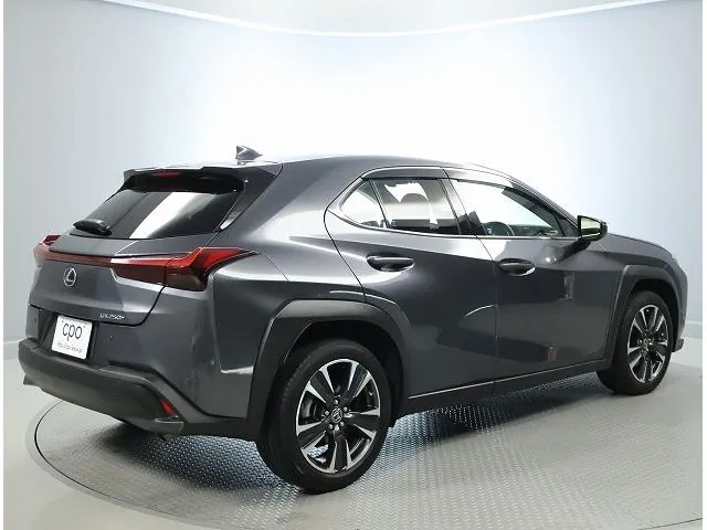 Lexus Ux250H 2023 photo 2