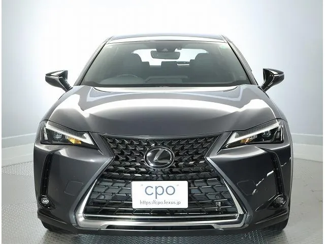 Lexus Ux250H 2023 photo 5