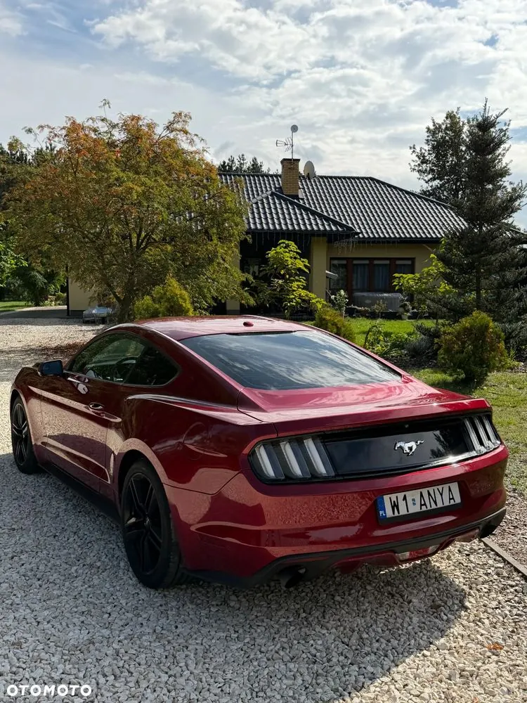 Ford Mustang 2015 photo 4