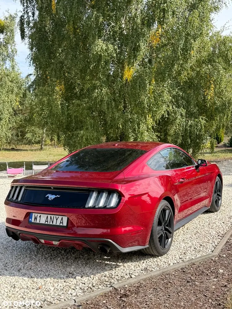Ford Mustang 2015 photo 3
