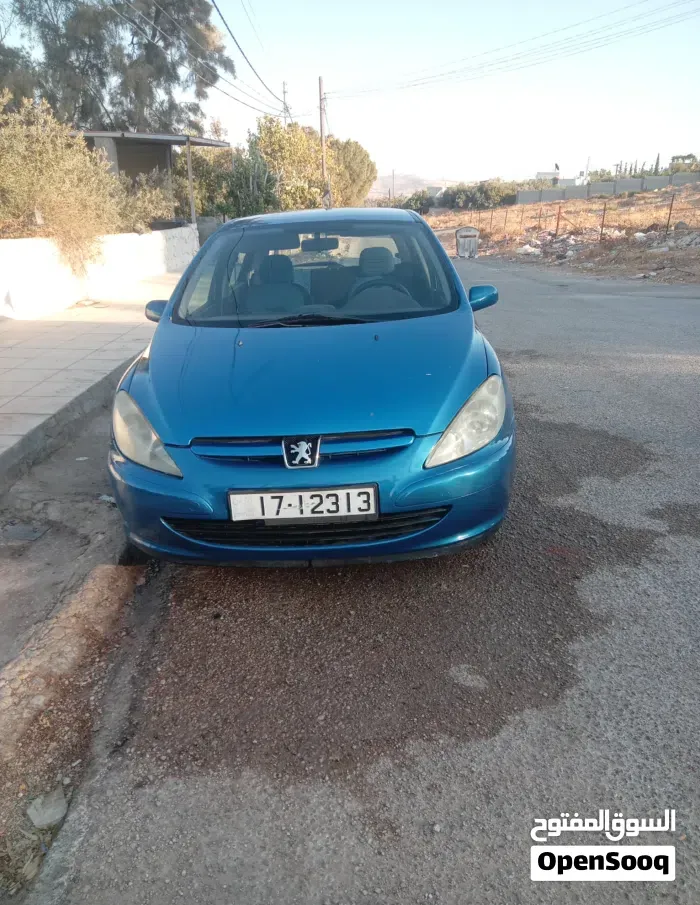 Peugeot 3008 2019 photo 5