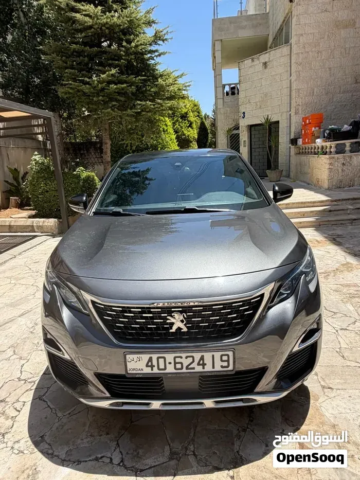 Peugeot 3008 2019 photo 2
