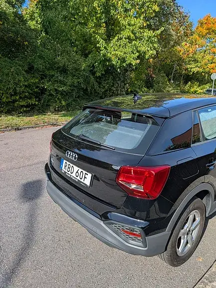 Audi Q2 2024 photo 4