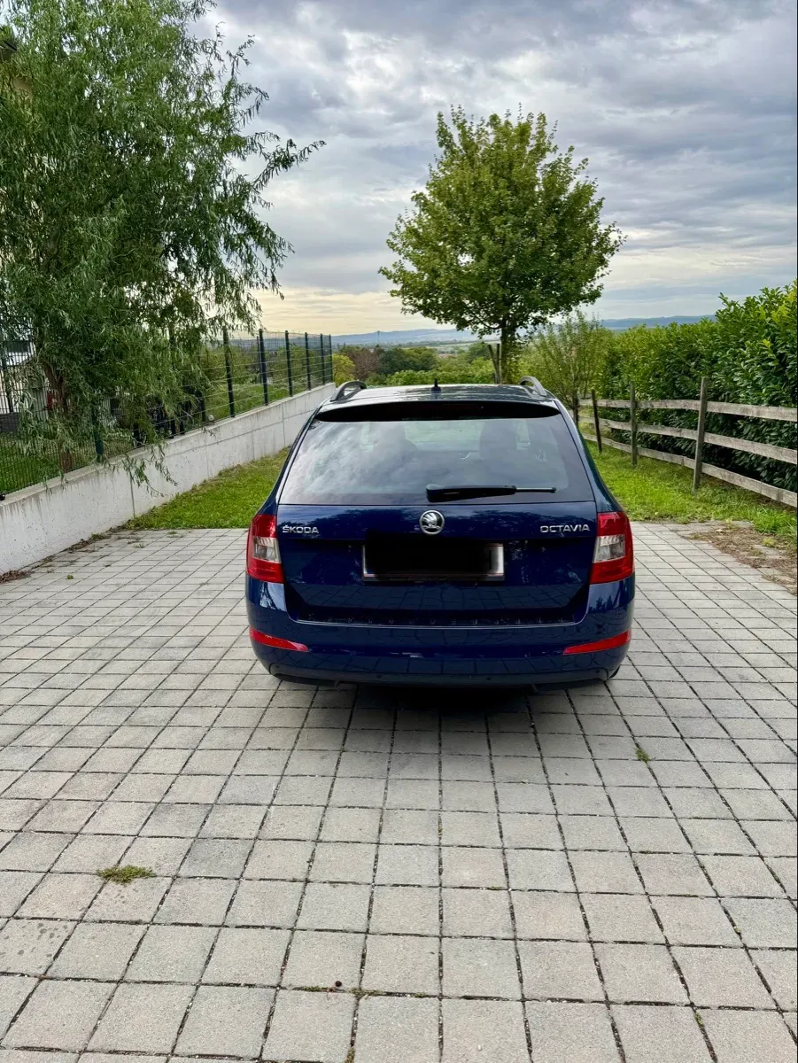 Skoda Octavia 2015 photo 3