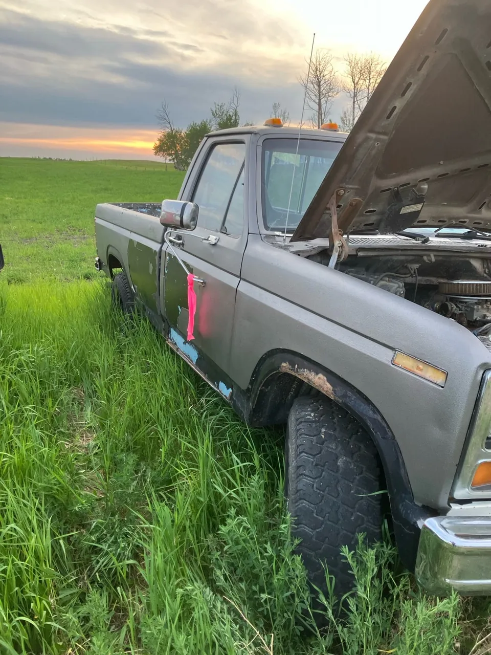Ford F-150 1986 photo 2
