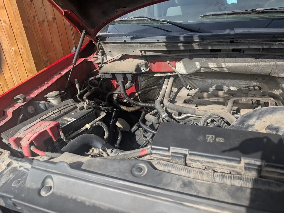 Ford F-150 2011 photo 4