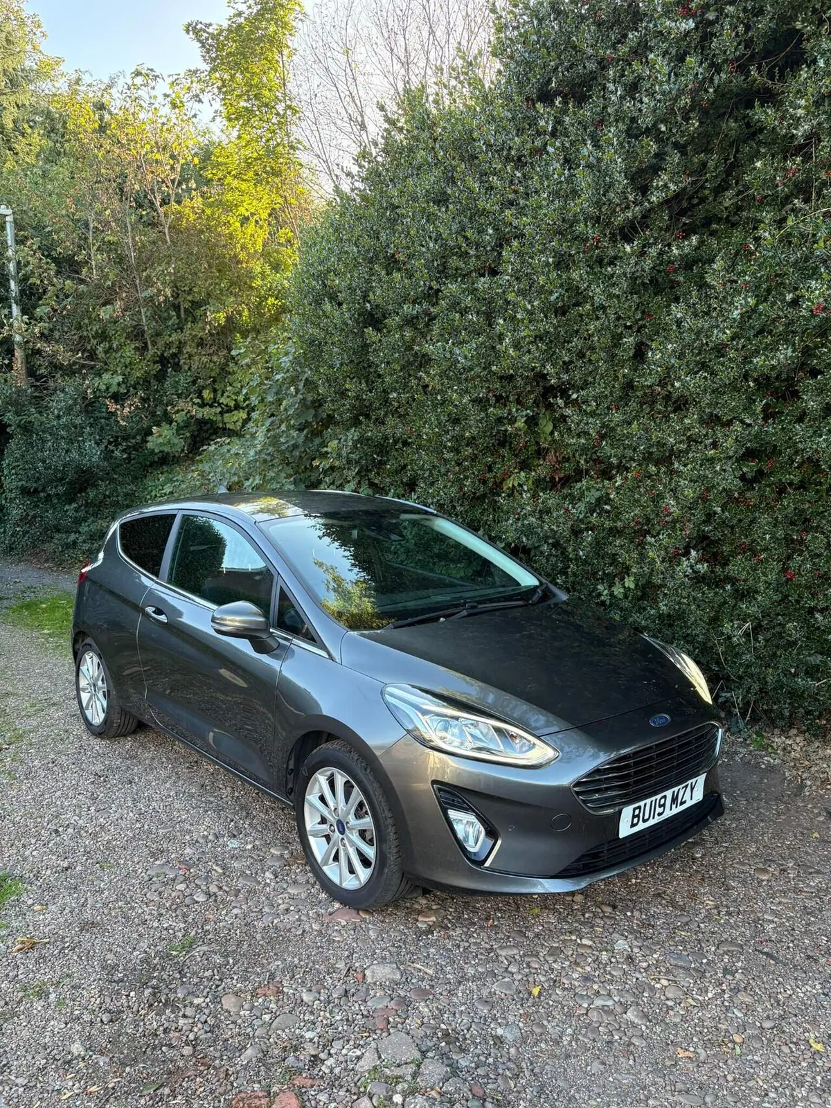 Ford Fiesta 2019 photo 2
