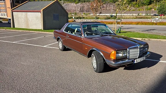 Mercedes-Benz 280 Ce 1979 photo 3