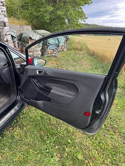Ford Fiesta 2014 photo 4
