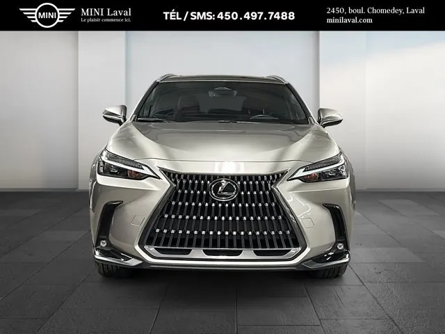Lexus Nx 350H 2023 photo 2